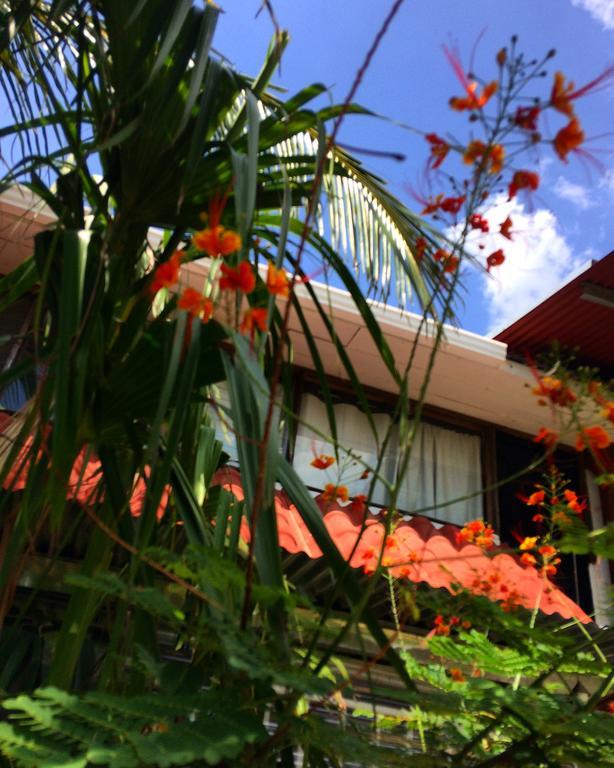 Flamingo Cabinas Hotel Плая Фламинго Екстериор снимка